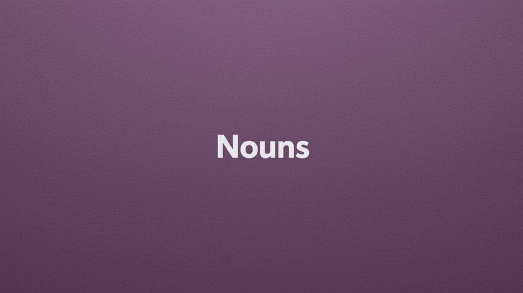 Nouns for High School and College Students